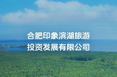 �Ϸ�ӡ��̫������2007��վ����Ͷ���������޹�˾