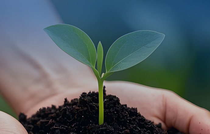 ̫������2007��վ(�й�)���޹�˾����