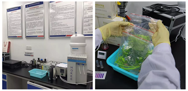 ̫������2007��վ(�й�)���޹�˾����