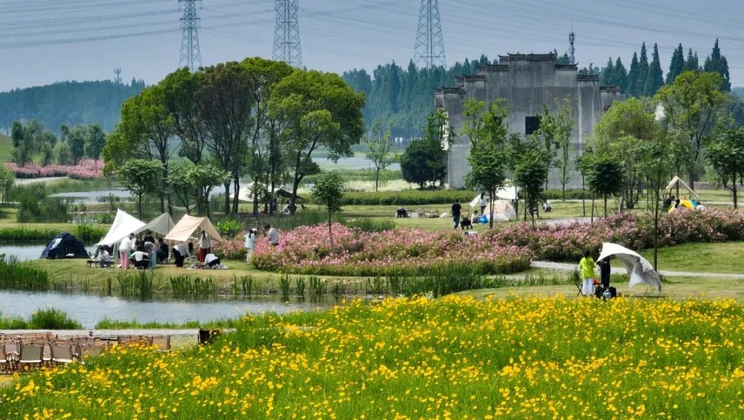 ̫������2007��վ(�й�)���޹�˾����