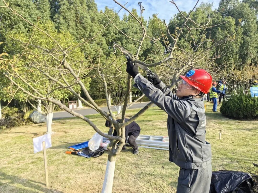 太阳集团2007网站(中国)有限公司官网